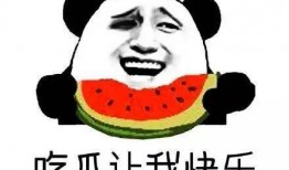 吃瓜群众,吃瓜群众眼中的明星生活