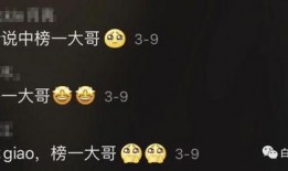 社会热点话题事件 抖音网红大鹅,从田间小鹅到网络红人的蜕变之路